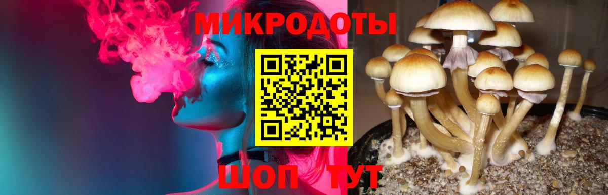 купить закладку  Вход с VPN  Нарьян-Мар  Галлюциногенные грибы MAGIC MUSHROOMS 
